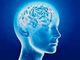 Neurology